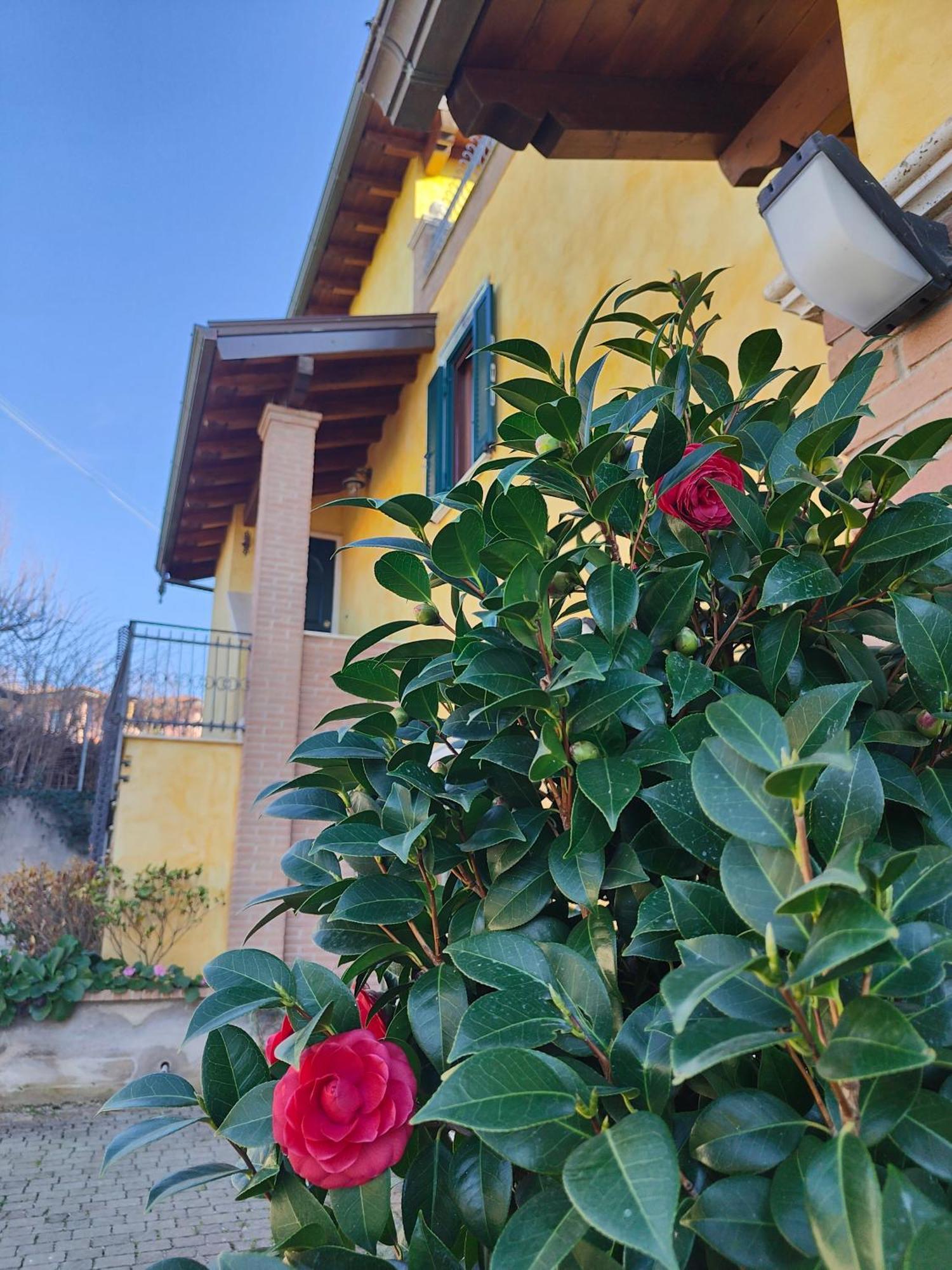 B&B Camera Delle Camelie Palestrina Exterior foto